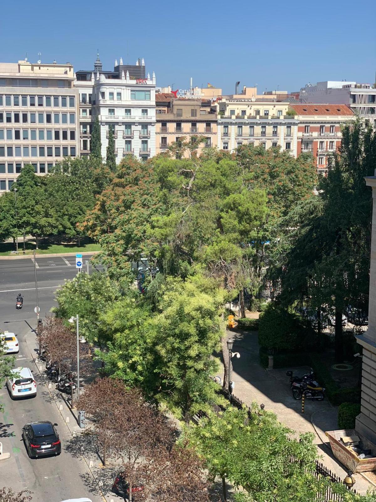 Luxury Studio Retiro Park & Prado Museum Madrid Dış mekan fotoğraf